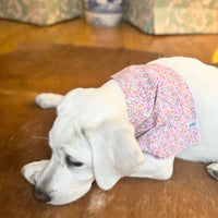 Little English traditional children's clothing. Pink floral dog bandana for Fall