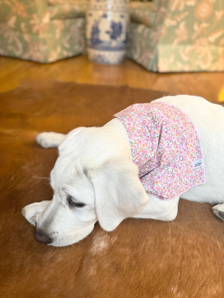 Little English traditional children's clothing. Pink floral dog bandana for Fall