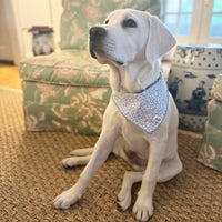 Little English traditional children's clothing.  Blue floral dog bandana for Fall