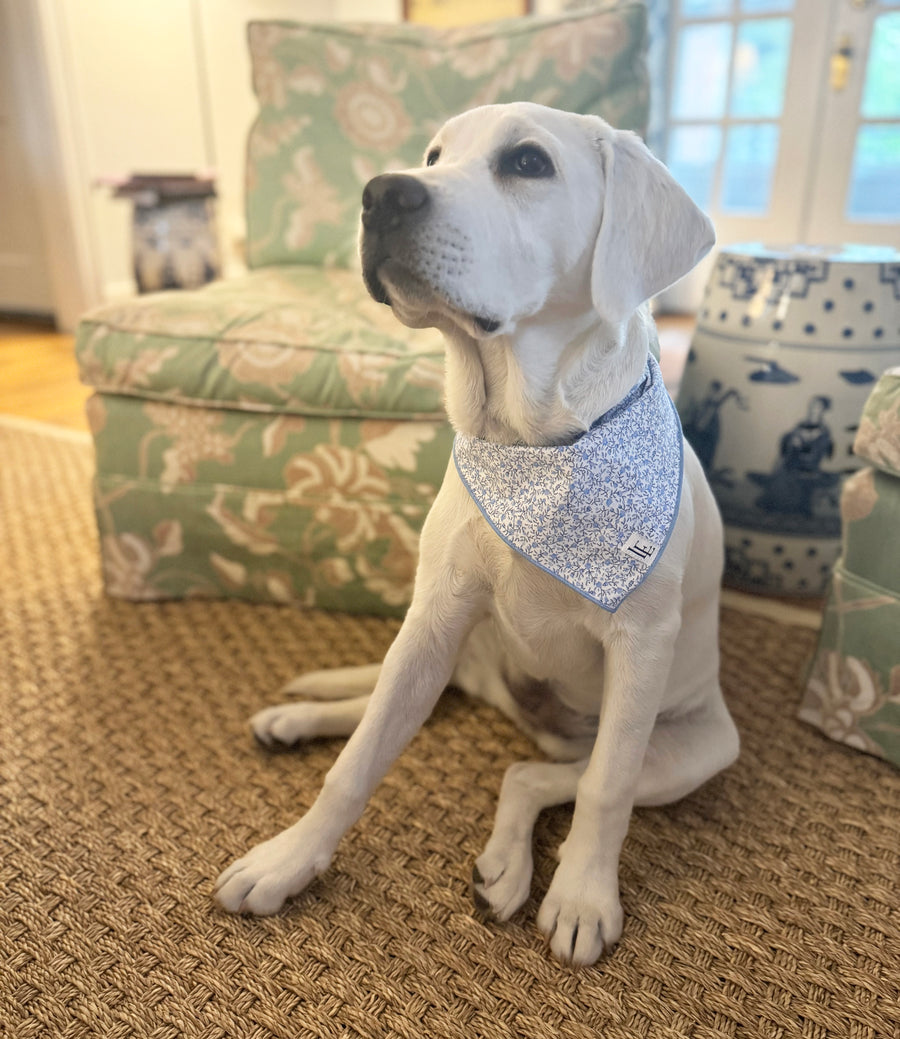 Little English traditional children's clothing.  Blue floral dog bandana for Fall