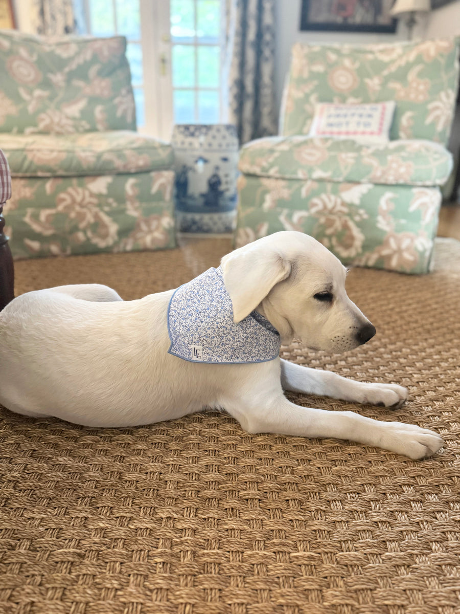 Little English traditional children's clothing.  Blue floral dog bandana for Fall