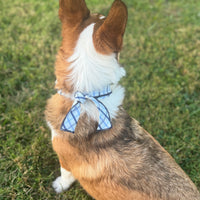 Little English traditional children's clothing.  Blue plaid dog bandana for fall