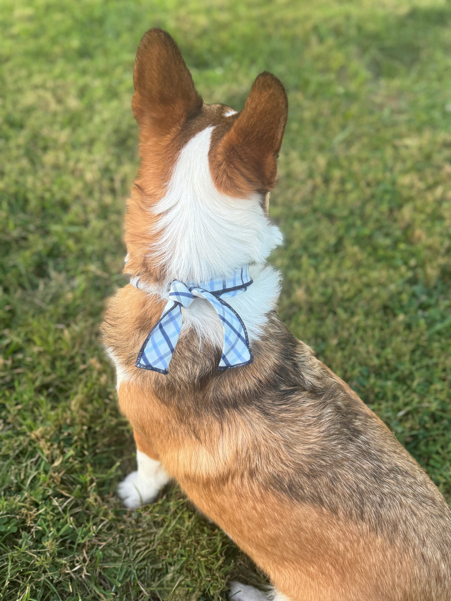 Little English traditional children's clothing.  Blue plaid dog bandana for fall