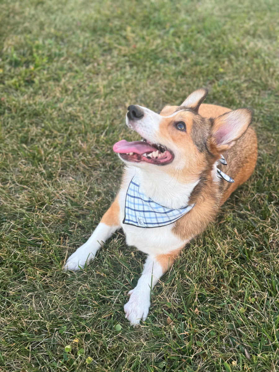 Little English traditional children's clothing.  Blue plaid dog bandana for fall