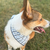 Little English traditional children's clothing.  Blue plaid dog bandana for fall