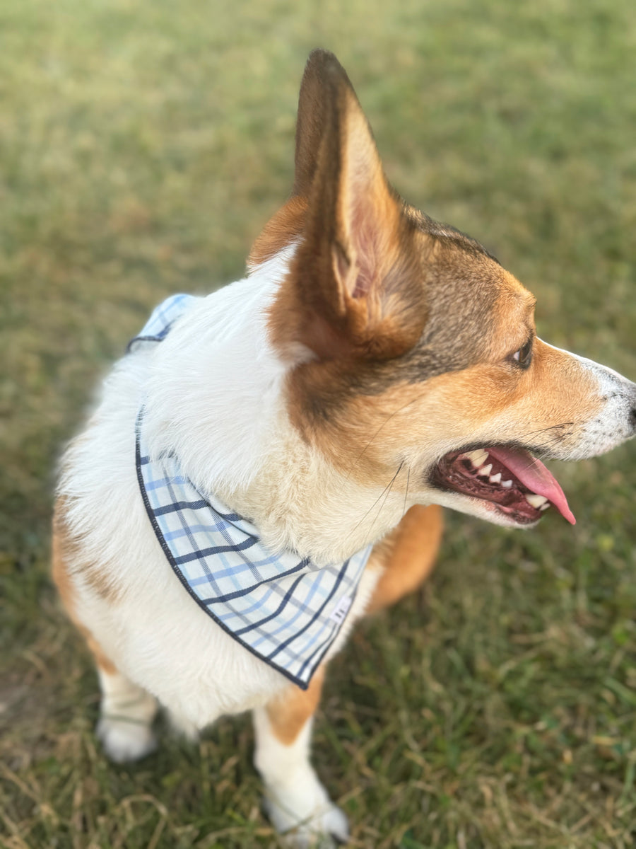 Little English traditional children's clothing.  Blue plaid dog bandana for fall