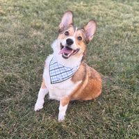 Little English traditional children's clothing.  Blue plaid dog bandana for fall