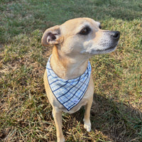 Little English traditional children's clothing.  Blue plaid dog bandana for fall