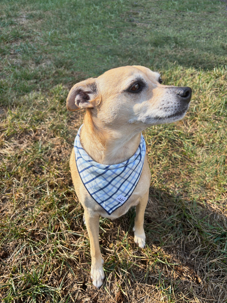 Little English traditional children's clothing.  Blue plaid dog bandana for fall