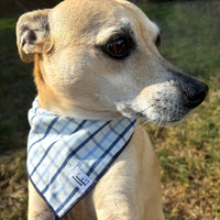 Little English traditional children's clothing.  Blue plaid dog bandana for fall