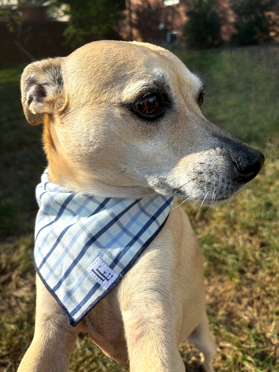 Little English traditional children's clothing.  Blue plaid dog bandana for fall