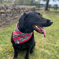 Little English traditional children's clothing.  Red and green tartan plaid dog bandana for Fall. Holiday dog bandana.