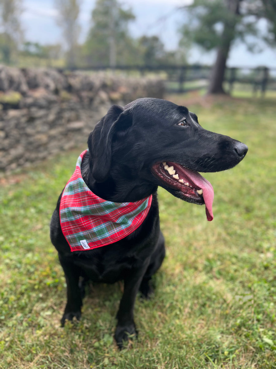 Little English traditional children's clothing.  Red and green tartan plaid dog bandana for Fall. Holiday dog bandana.