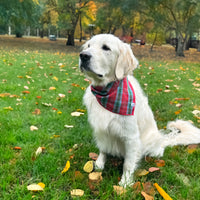 Little English traditional children's clothing.  Red and green tartan plaid dog bandana for Fall. Holiday dog bandana.