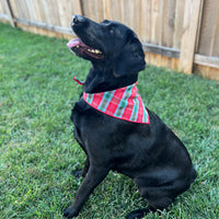 Little English traditional children's clothing.  Red and green tartan plaid dog bandana for Fall. Holiday dog bandana.