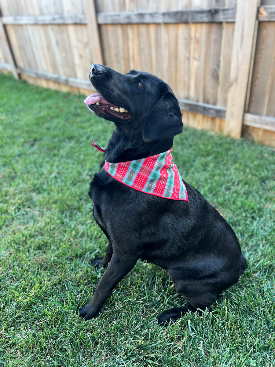 Little English traditional children's clothing.  Red and green tartan plaid dog bandana for Fall. Holiday dog bandana.