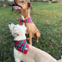 Little English traditional children's clothing.  Red and green tartan plaid dog bandana for Fall. Holiday dog bandana.