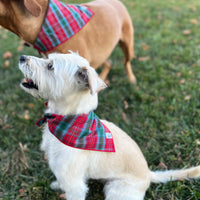 Little English traditional children's clothing.  Red and green tartan plaid dog bandana for Fall. Holiday dog bandana.