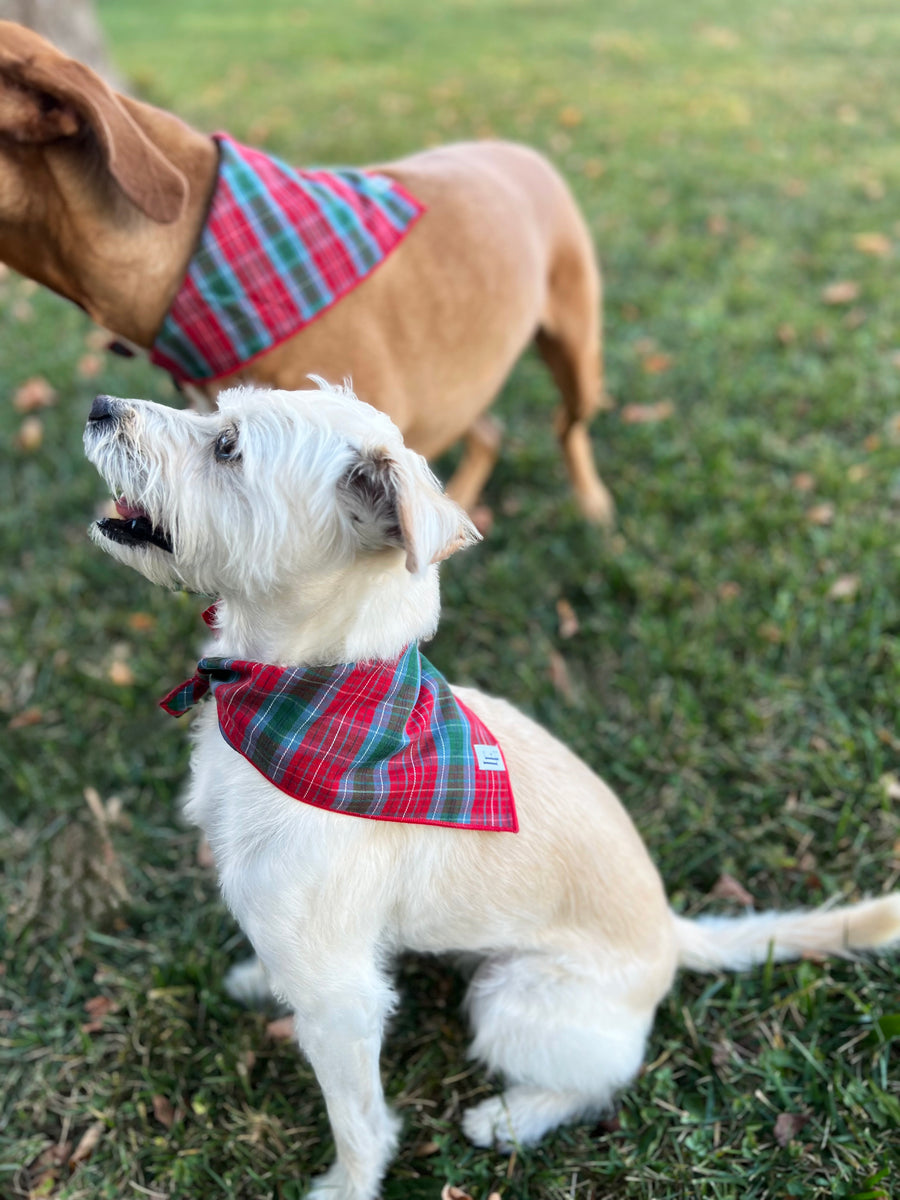 Little English traditional children's clothing.  Red and green tartan plaid dog bandana for Fall. Holiday dog bandana.