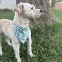 Little English traditional children's clothing. Green plaid dog bandana for Fall