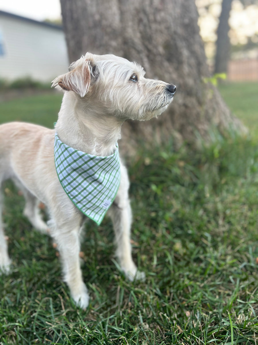 Little English traditional children's clothing. Green plaid dog bandana for Fall