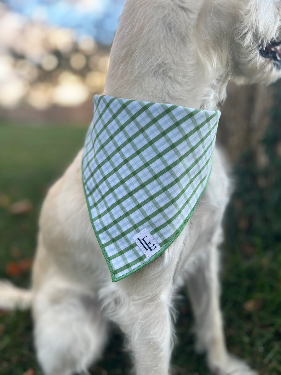 Little English traditional children's clothing. Green plaid dog bandana for Fall