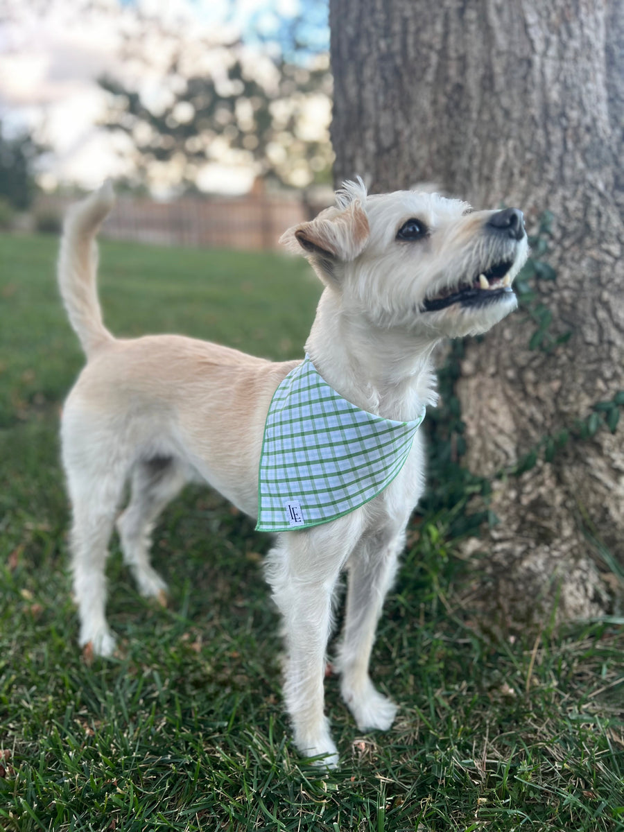 Little English traditional children's clothing. Green plaid dog bandana for Fall