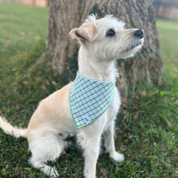 Little English traditional children's clothing. Green plaid dog bandana for Fall