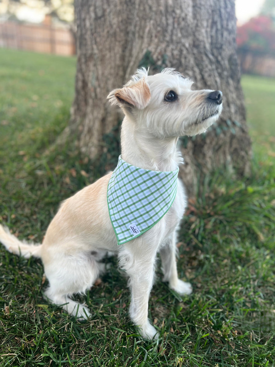 Little English traditional children's clothing. Green plaid dog bandana for Fall