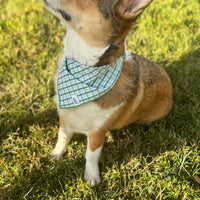 Little English traditional children's clothing. Green plaid dog bandana for Fall