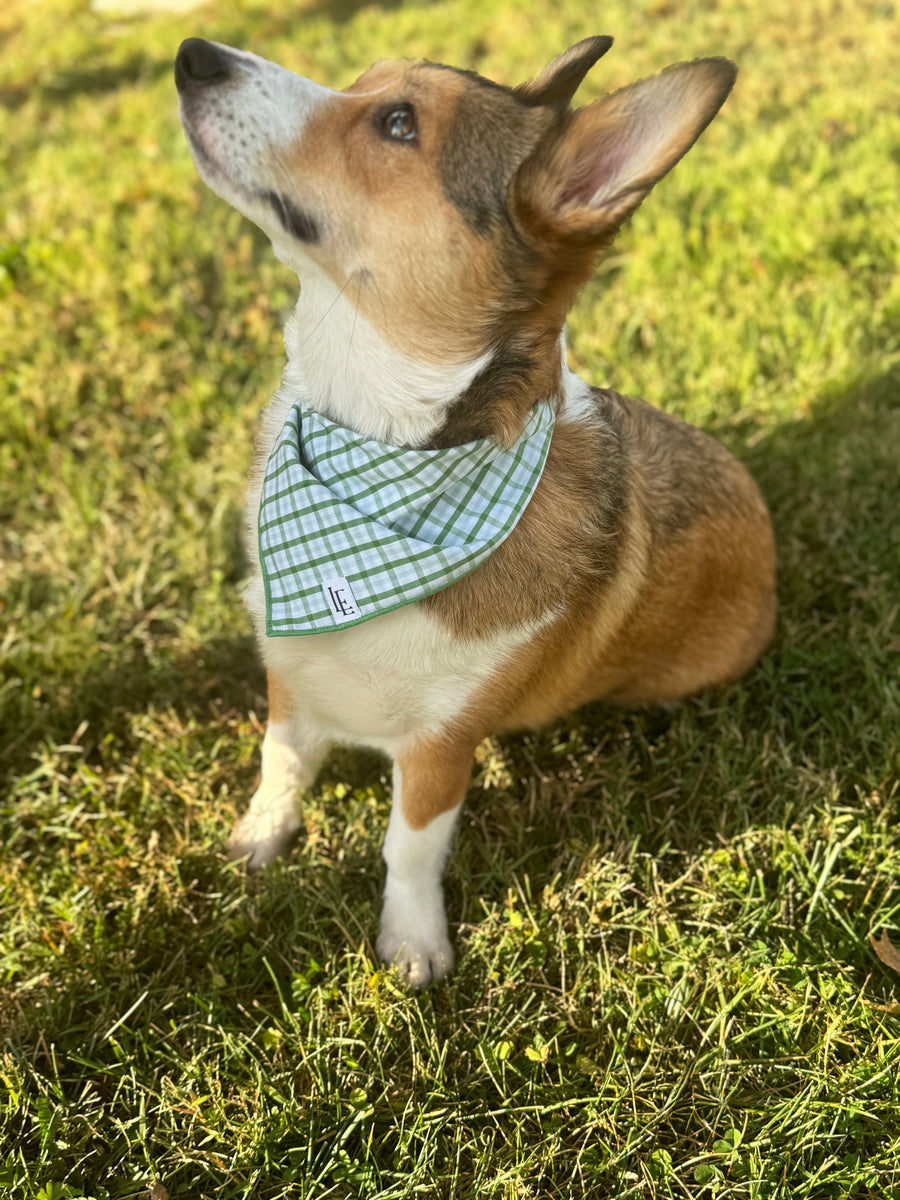 Little English traditional children's clothing. Green plaid dog bandana for Fall