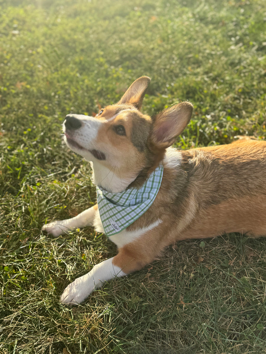 Little English traditional children's clothing. Green plaid dog bandana for Fall