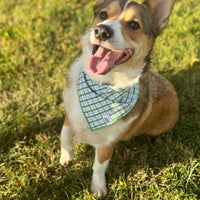 Little English traditional children's clothing. Green plaid dog bandana for Fall