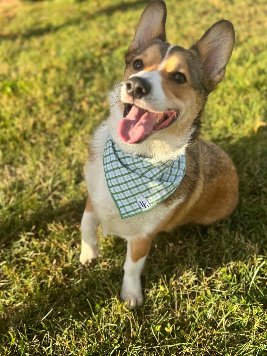 Little English traditional children's clothing. Green plaid dog bandana for Fall