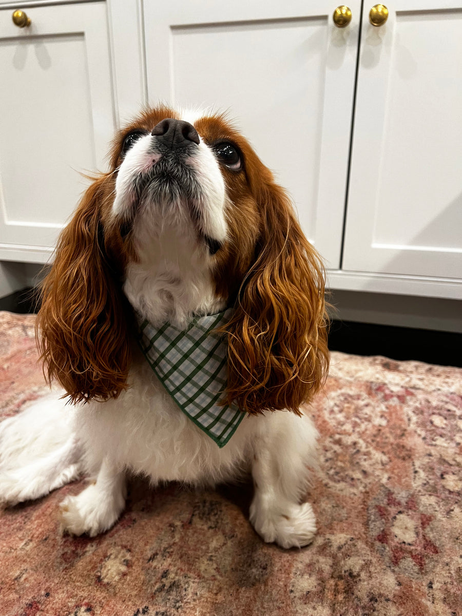 Little English traditional children's clothing. Green plaid dog bandana for Fall