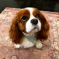 Little English traditional children's clothing. Green plaid dog bandana for Fall