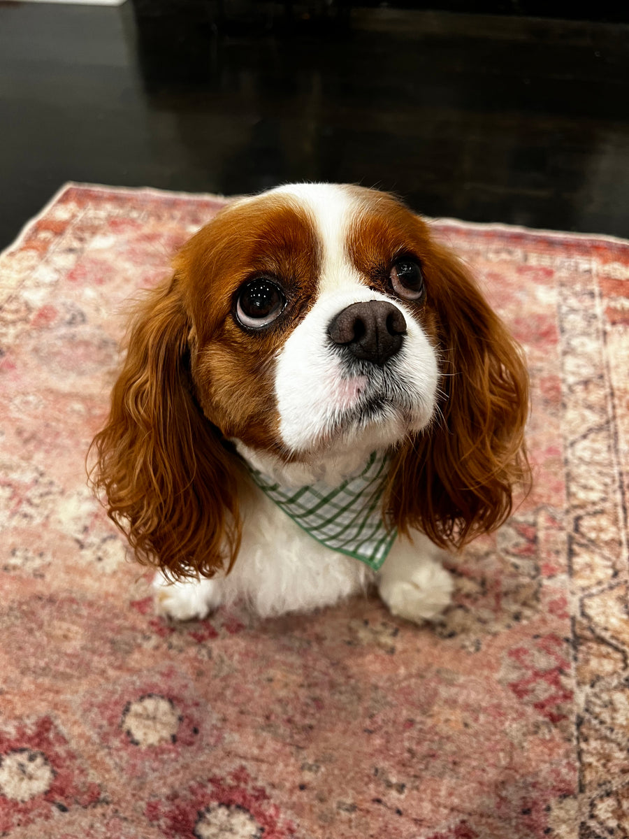 Little English traditional children's clothing. Green plaid dog bandana for Fall