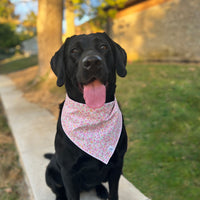 Little English traditional children's clothing. Pink floral dog bandana for Fall