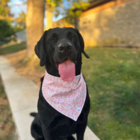 Little English traditional children's clothing. Pink floral dog bandana for Fall