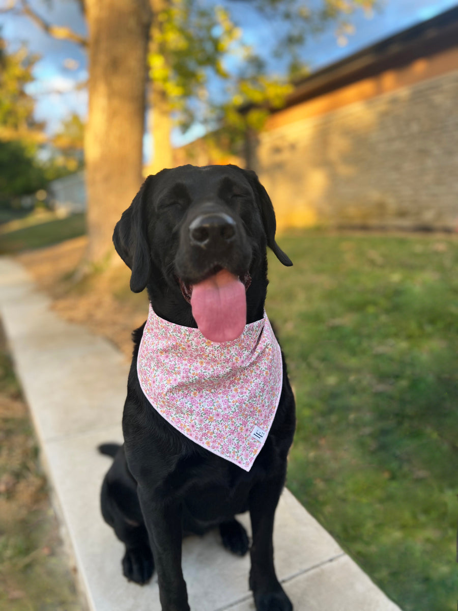 Little English traditional children's clothing. Pink floral dog bandana for Fall