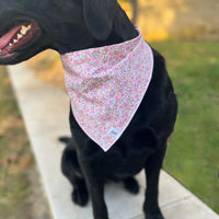 Little English traditional children's clothing. Pink floral dog bandana for Fall