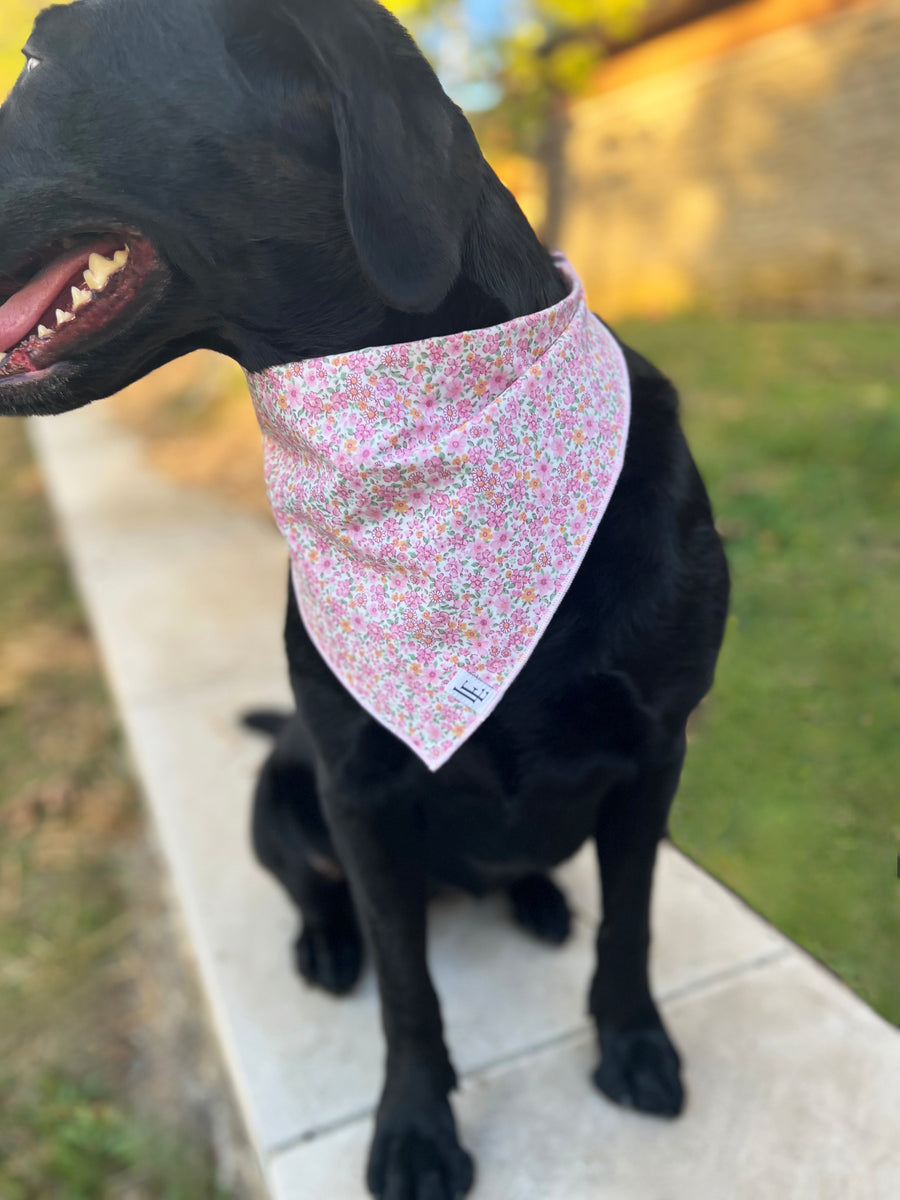 Little English traditional children's clothing. Pink floral dog bandana for Fall