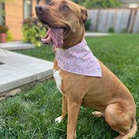 Little English traditional children's clothing. Pink floral dog bandana for Fall