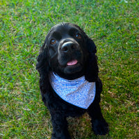 Little English traditional children's clothing.  Blue floral dog bandana for Fall