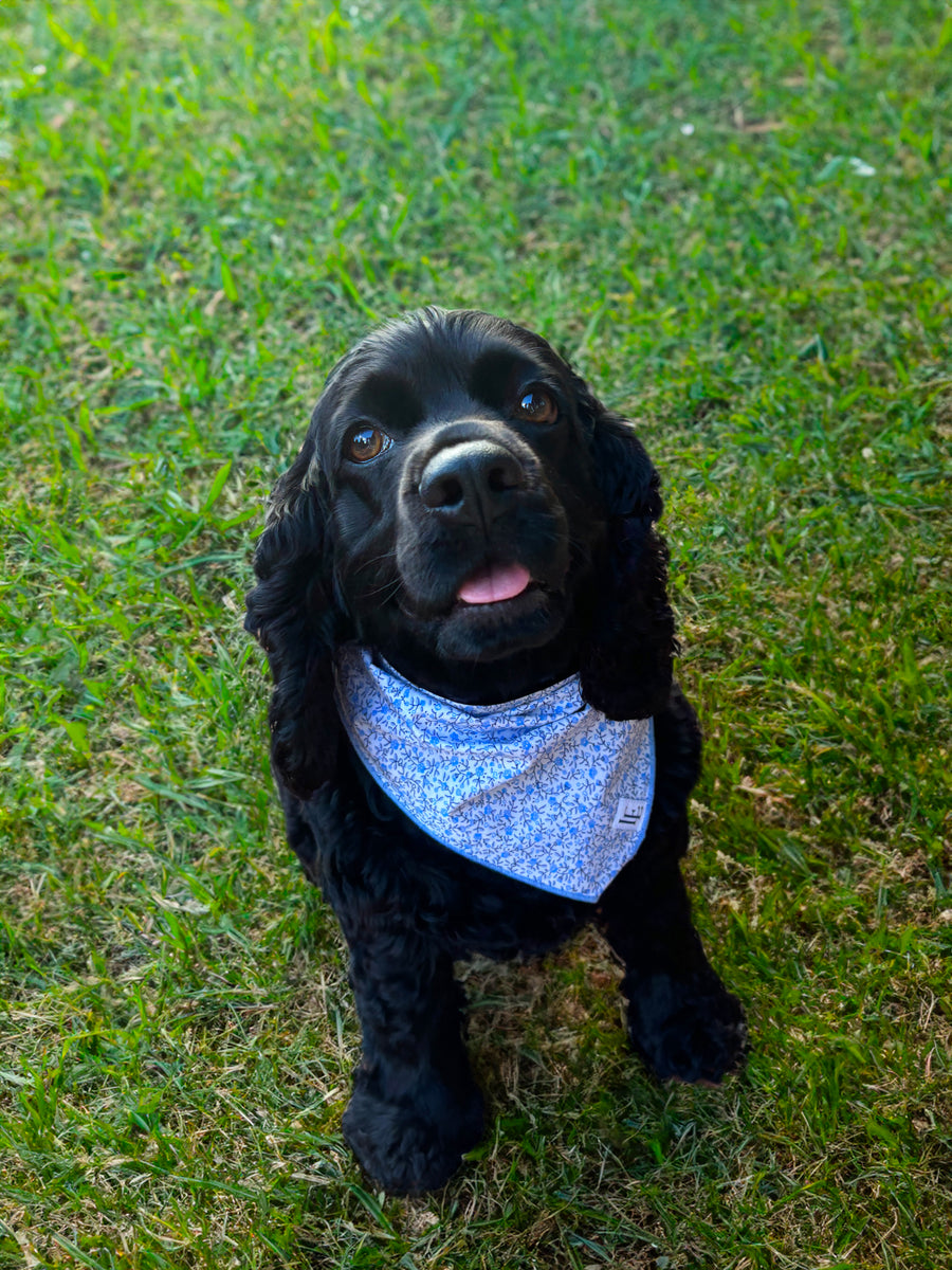 Little English traditional children's clothing.  Blue floral dog bandana for Fall