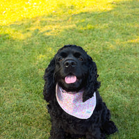 Little English traditional children's clothing. Pink floral dog bandana for Fall