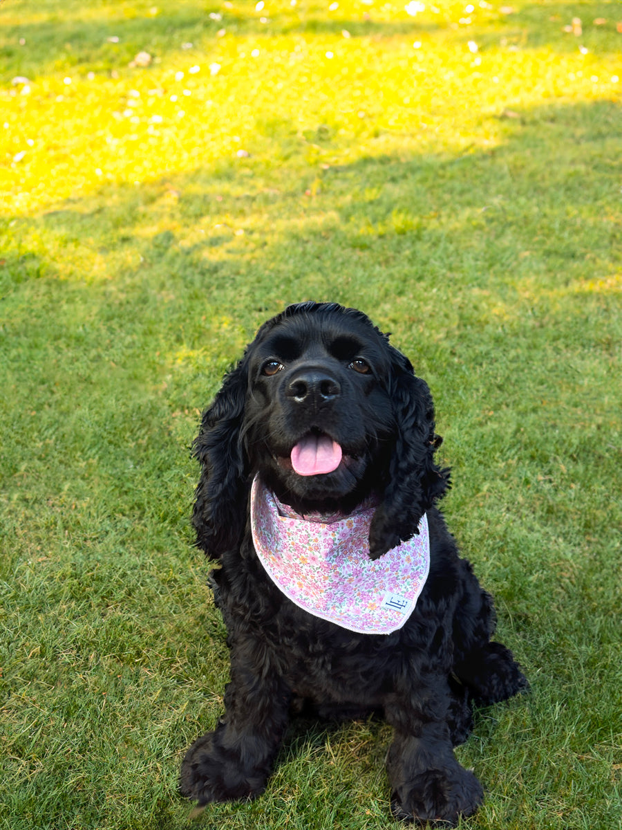 Little English traditional children's clothing. Pink floral dog bandana for Fall