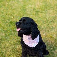 Little English traditional children's clothing. Pink floral dog bandana for Fall