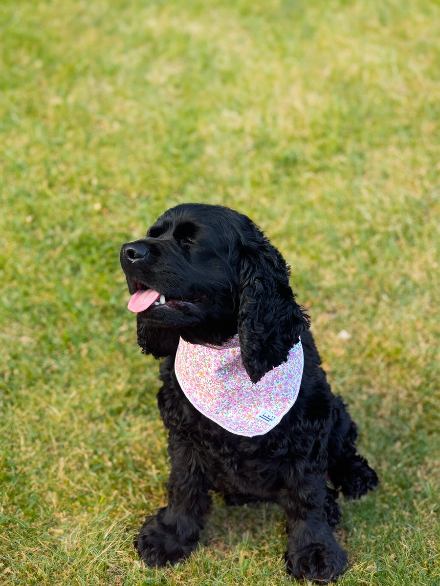 Little English traditional children's clothing. Pink floral dog bandana for Fall