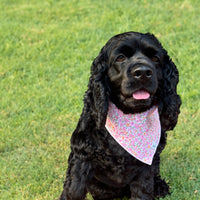 Little English traditional children's clothing. Pink floral dog bandana for Fall